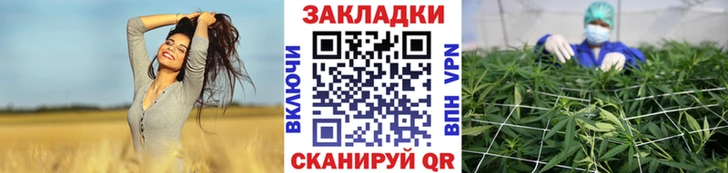 Купить закладку Конопля  Cocaine  Героин  Меф мяу мяу  Alpha-PVP  Каменка