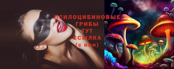 Альфа ПВП Елизово