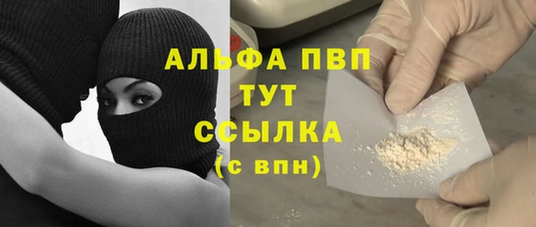 Альфа ПВП Елизово
