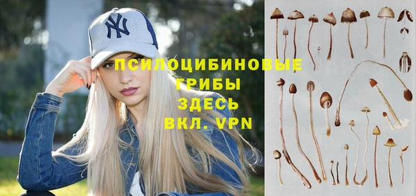 гашишное масло Ельня
