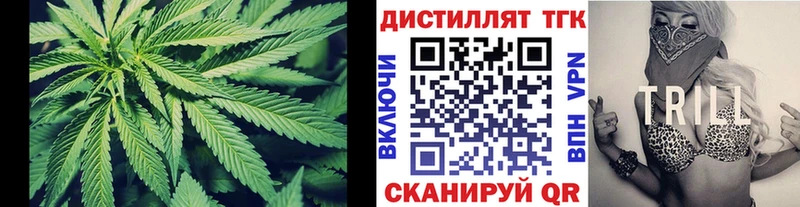 Купить Каменка ТГК жижа