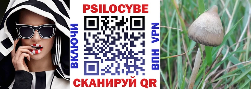 Галлюциногенные грибы Magic Shrooms  Купить где  Каменка 